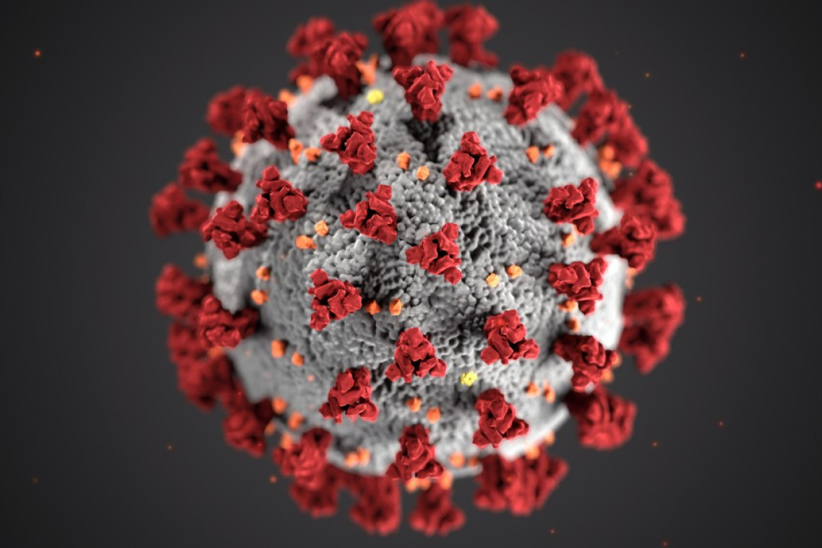 Covid-19 Vaccination